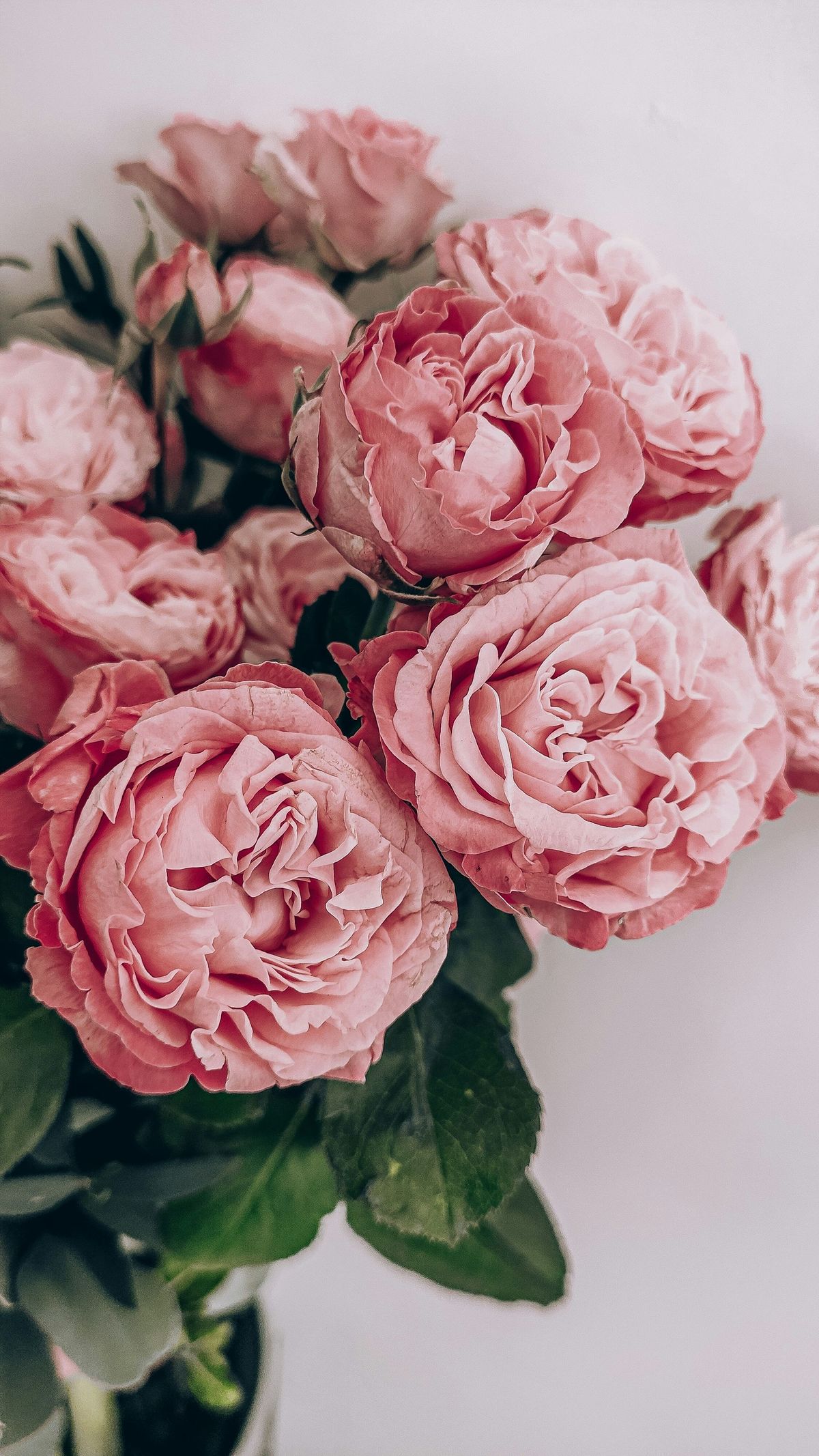 How Far Is Too Far, And Why Women Love Flowers